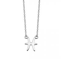 JWLS4U | Zodiac Sign Necklaces Silver 10